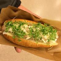 Danish Dogs at Grand Central